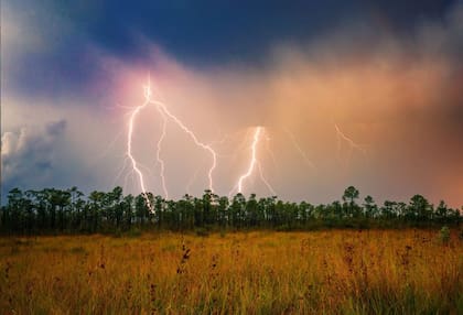 El Parque Nacional de los Everglades es considerado como el parque natural subtropical más grande de Estados Unidos