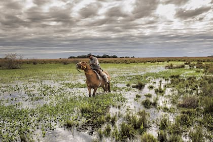 El Parque Nacional Iberá, en Corrientes