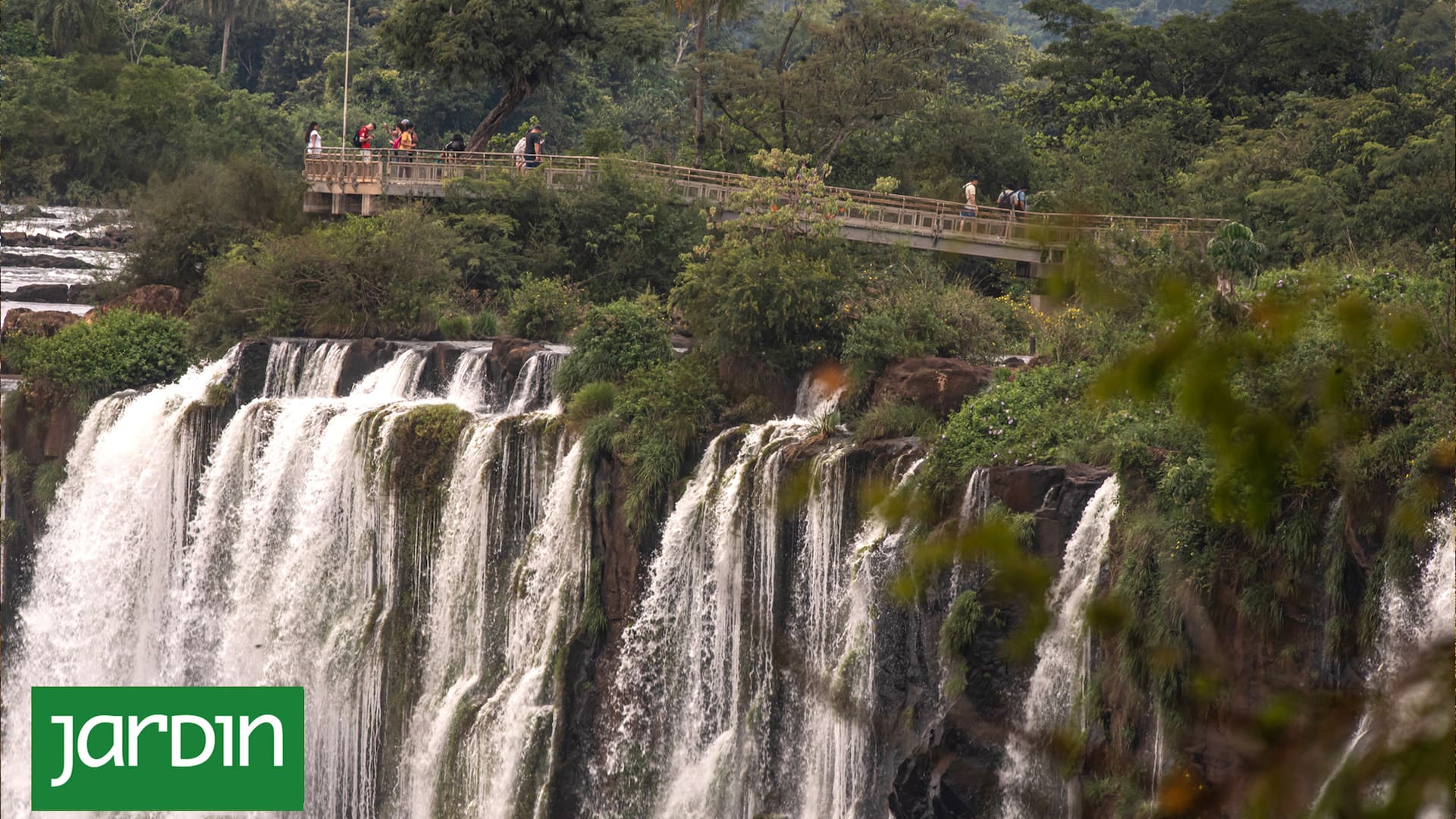 El Parque Nacional Iguazú, el más visitado de la Argentina, es una muestra única de selva húmeda subtropical con más de 30.000 especies registradas.