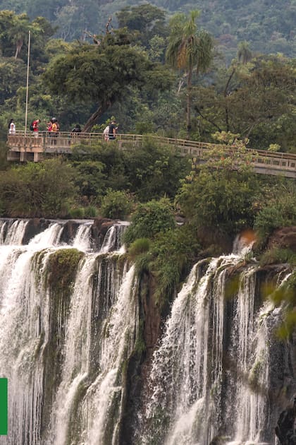 El Parque Nacional Iguazú, el más visitado de la Argentina, es una muestra única de selva húmeda subtropical con más de 30.000 especies registradas.