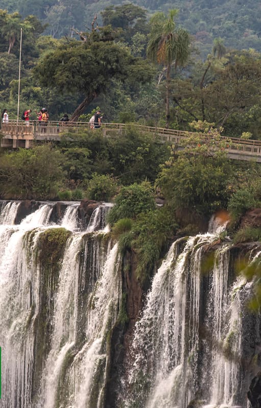 El Parque Nacional Iguazú, el más visitado de la Argentina, es una muestra única de selva húmeda subtropical con más de 30.000 especies registradas.