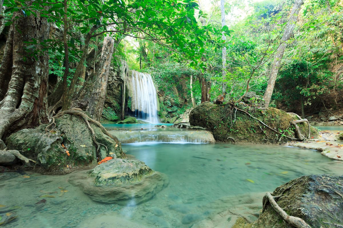 El Parque Nacional Los Alerces tiene rincones para elegir: son 263.000 hectáreas de lagos, ríos, arroyos, cascadas, montañas y bosques tupidos