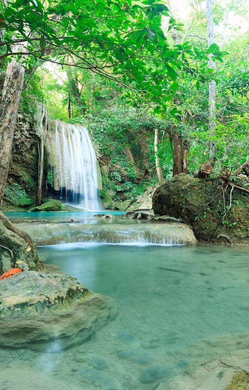 El Parque Nacional Los Alerces tiene rincones para elegir: son 263.000 hectáreas de lagos, ríos, arroyos, cascadas, montañas y bosques tupidos