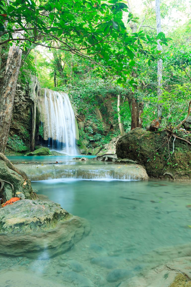 El Parque Nacional Los Alerces tiene rincones para elegir: son 263.000 hectáreas de lagos, ríos, arroyos, cascadas, montañas y bosques tupidos