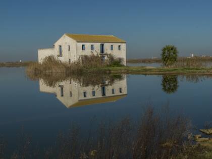 El Parque Natural de la Albufera, en Valencia.