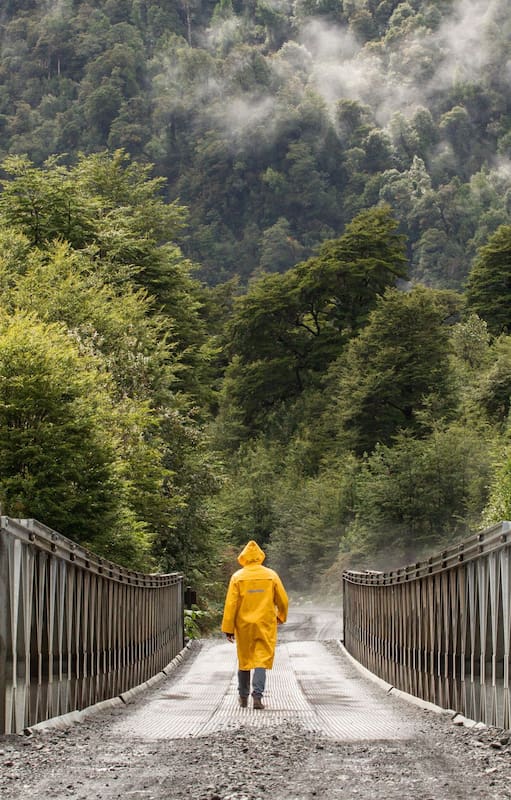 El Parque Pumalín comprende 290 mil hectáreas y forma parte de un complejo de 408 mil hectáreas que Tompkins donó a Chile.