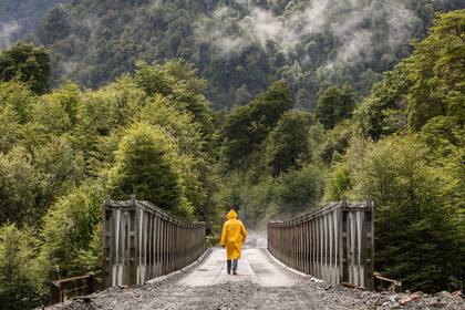 El Parque Pumalín, una de las áreas protegidas que atraviesa la carretera austral y parte del proyecto de Tompkins de convertirla en una ruta escénica. Gustavo Castaing