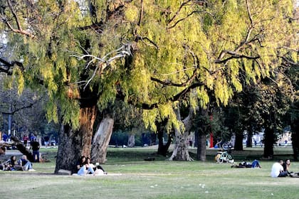 El Parque San Martín de La Plata, espacio público donde ocurrió el súbito deceso de la joven estudiante de 23 años mientras trotaba