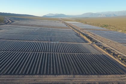 El parque solar Ullum está situado en San Juan y genera energía para abastecer a 48.000 hogares