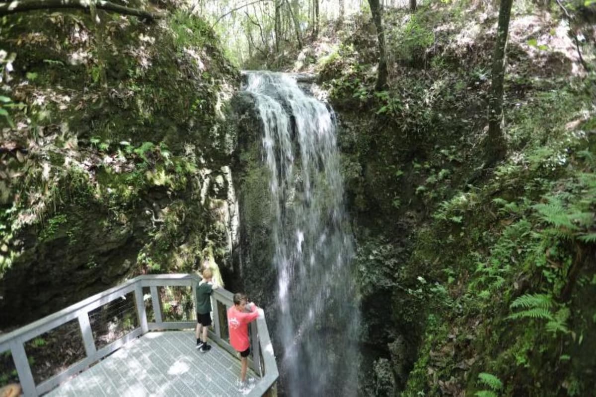 El parque Torreya State Park se ubica a horas de ruta de Miami y cuenta con una serie de atractivos naturales
