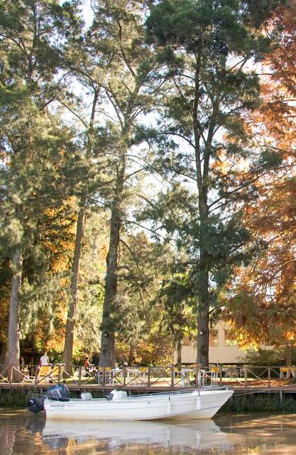 El parque y el muelle de Los Pecanes con los colores del otoño,
