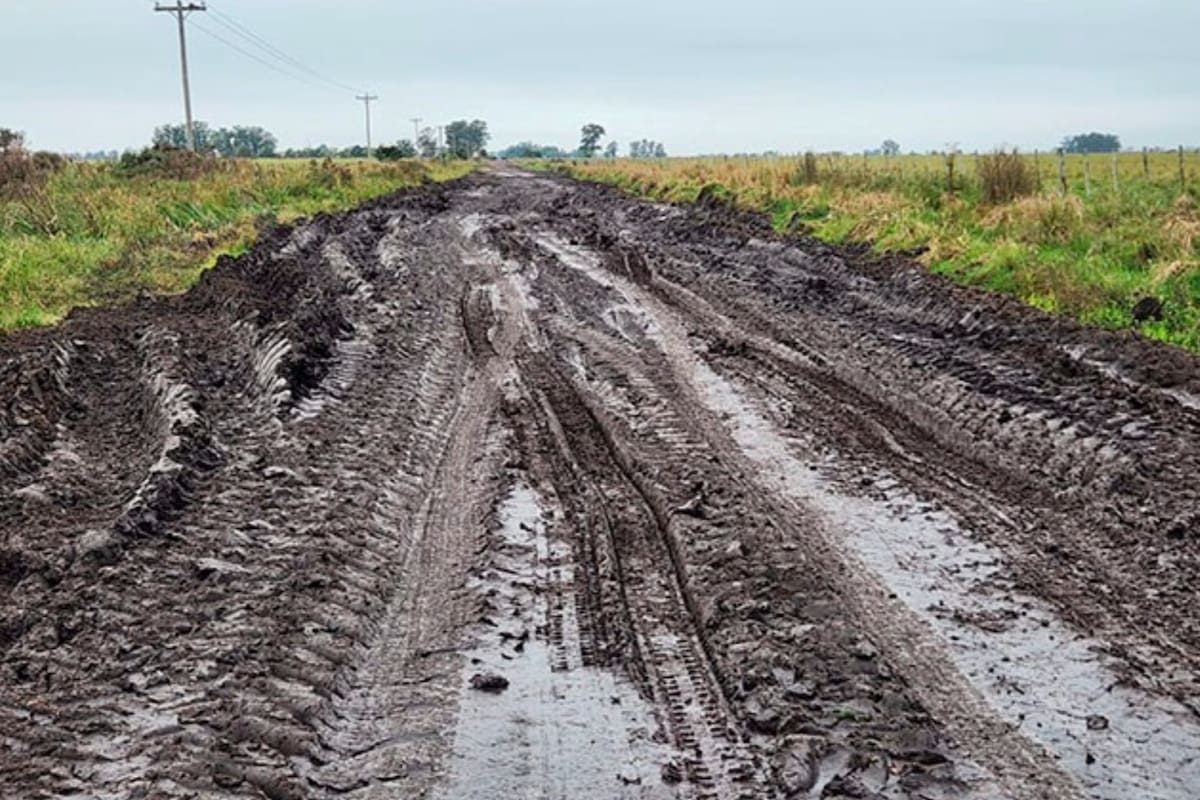 El partido de San Pedro tiene entre 1200 y 1400 kilómetros de caminos rurales