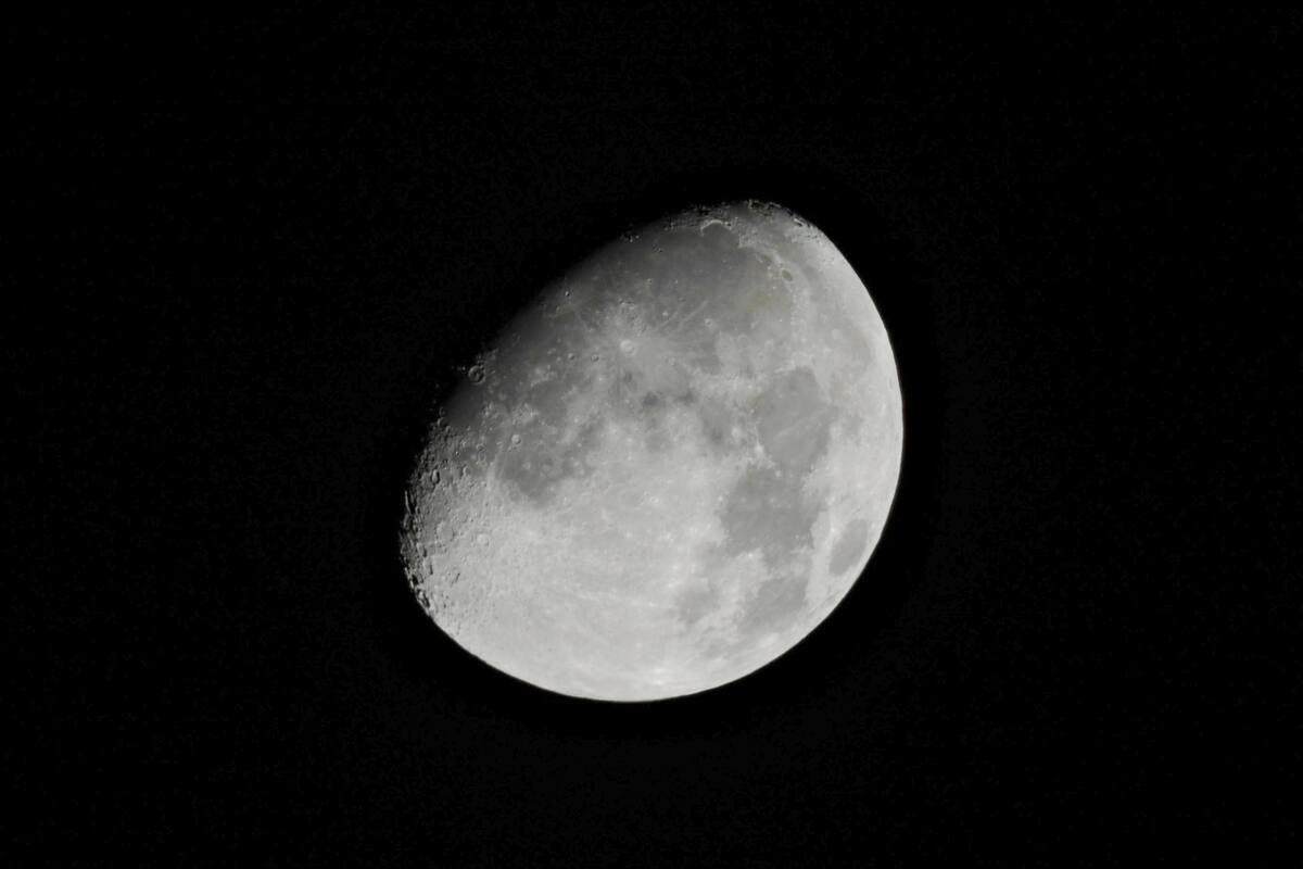 El pasado 25 de marzo se pudo observar un eclipse lunar en parte de Estados Unidos