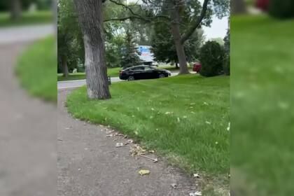 El paseo por el parque terminó en una gran secuencia de miedo (Captura video @aylentrejorichter)