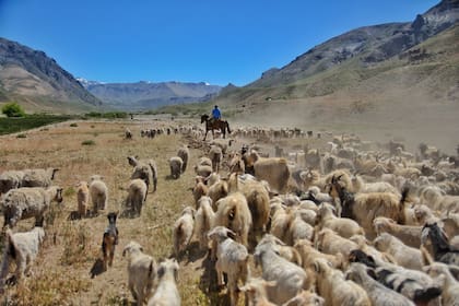 El paseo se extiende desde Varvarco hasta Los Bolillos, un paisaje de formaciones rocosas muy particular de esta zona, y se hace en diferentes etapas