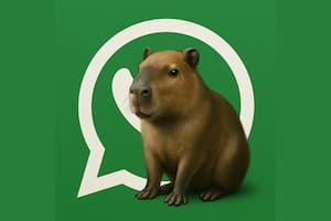El paso a paso para cativar el "modo capibara" en WhatsApp