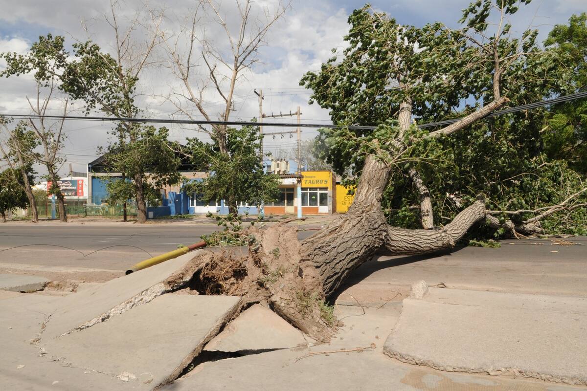 El paso del fenómeno meteorológico no solo afecta a la infraestructura de ciudades como Mendoza y otras localidades cuyanas, sino que también tiene una incidencia directa en la salud de los habitantes de la región