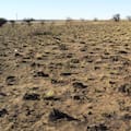 La conservación del suelo es un desafío pendiente para el país