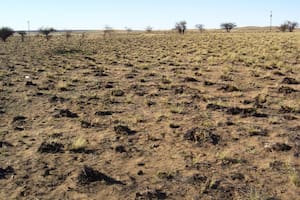 La conservación del suelo es un desafío pendiente para el país