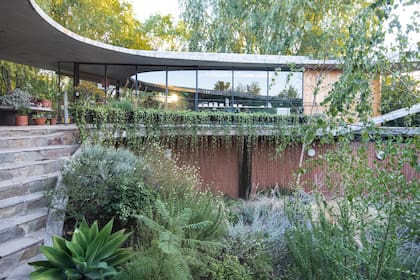 El patio central. Vincas que cuelgan y un mix donde predominan las plantas de tonos glaucos. Perovskias, beschornerias, stipas, agaves, romero y salvias son algunas de las especies plantadas.