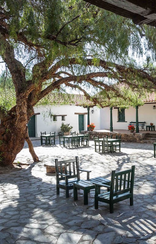 El patio colonial de Hacienda de Molinos, con su añoso molle.