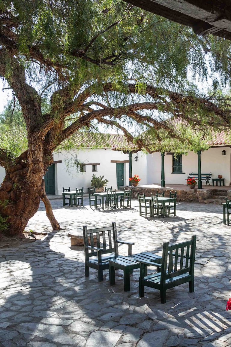 El patio colonial de Hacienda de Molinos, con su añoso molle.