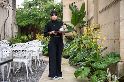 El patio con las boinas de vasco en flor