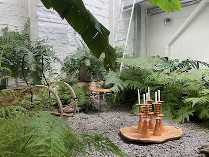 El patio delantero, donde se ve la frondosidad de los helechos