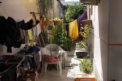El patio trasero de una casa en Belém. Los mosquitos prosperan en lugares oscuros y mohosos, y se reproducen en pequeños charcos de agua estancada