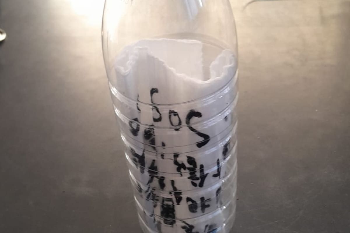 El pedido de auxilio hallado en una botella