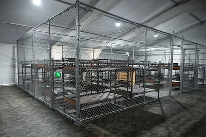 El pedido de un hombre detenido en Alligator Alcatraz fue declinado por un juez federal en Florida