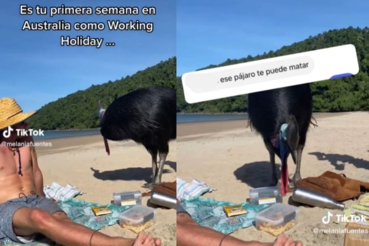 El peligro puede encontrarse muy cerca y una joven en Australia lo comprobó