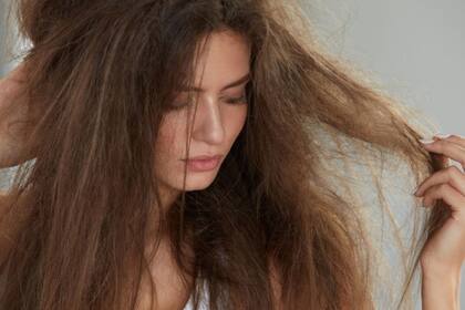 El pelo debe desenredarse con los dedos, según afirmó Nicole