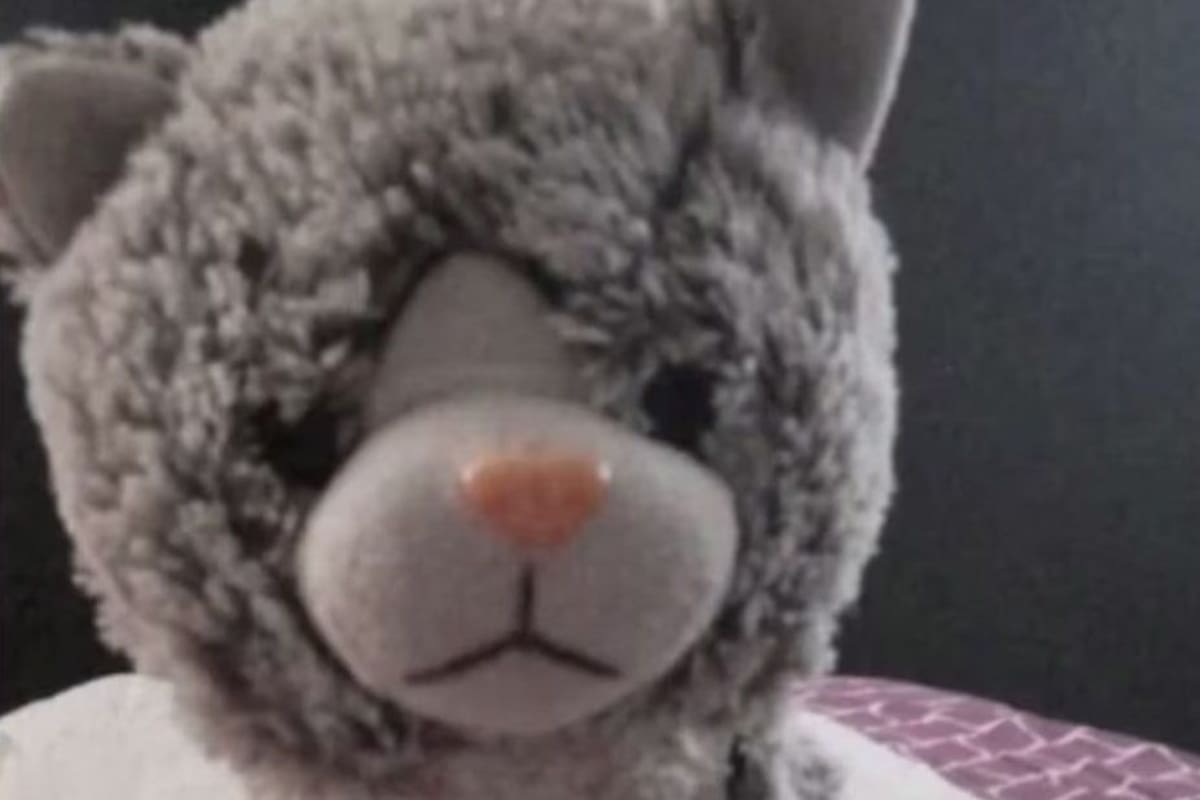 El peluche de apego del niño