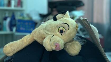 El peluche de Simba, el hijo del Rey León, es uno de los juguetes que los hijos de Alejandra llevarán a Nueva York