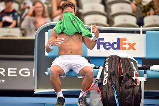 Schwartzman, eliminado en la semifinal del ATP 250 de Sydney: perdió con Seppi