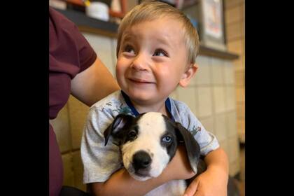 El pequeño adoptó a un animal que también nació con labio leporino