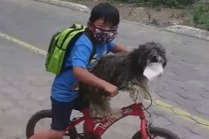 El pequeño Anthony Hernández, de Ecuador, decidió proteger a su perro contra el coronavirus al salir a hacer las compras