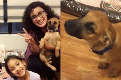 El pequeño "Berlín" llegó a su nuevo hogar y cambió su vida