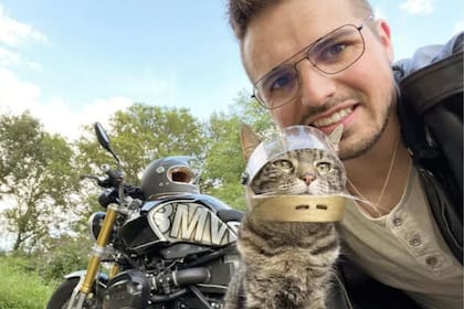 El pequeño gato motorizado se roba el corazón de todos los cibernautas por lo tierno que es (Foto: TikTok @Catlover017)