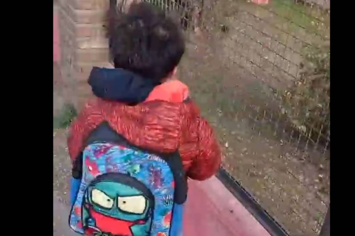 El pequeño Noah sorprendió a su madre cuando finalmente abrió su mochila (Foto: TikTok @yamiitorres516)