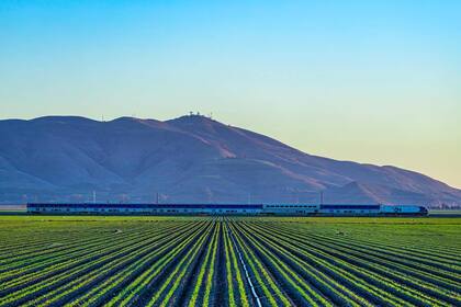 El pequeño pueblo de California cuenta con una amplia cultura agrícola donde trabajan miles de inmigrantes
