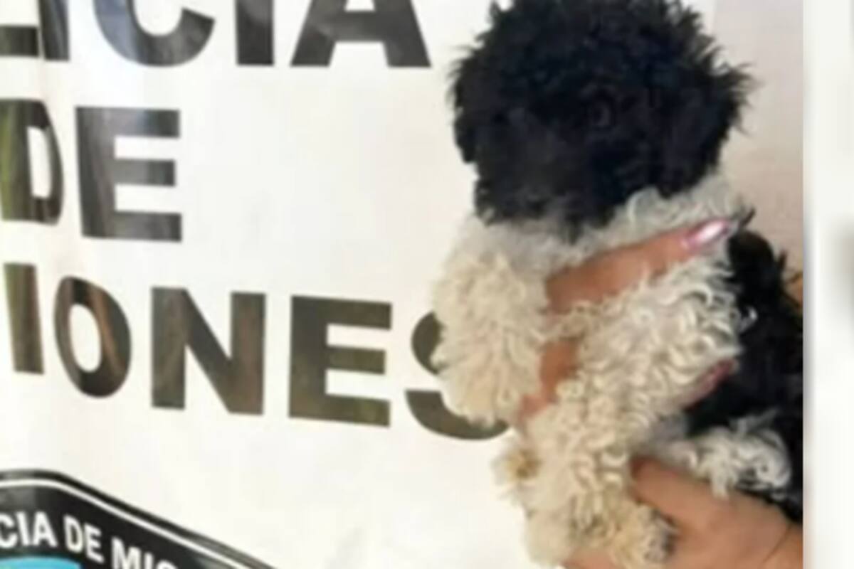 El pequeño rehén luego de ser rescatado por la policía