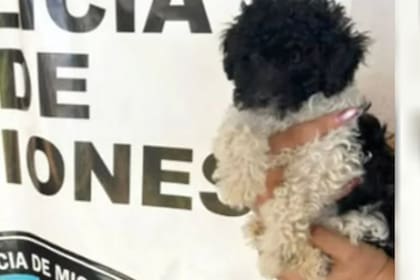 El pequeño rehén luego de ser rescatado por la policía