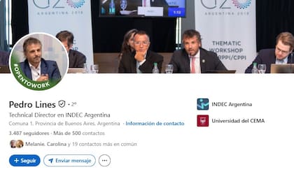 El perfil de Pedro lines en Linkedin
