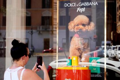 El perfume cuesta US$108, contiene 100 mililitros y ha sido certificado como apto para uso animal