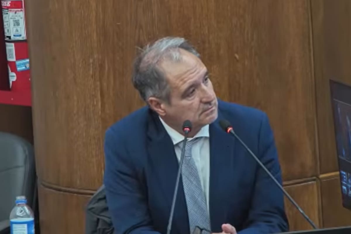 El periodista de LA NACION Diego Cabot durante su declaración