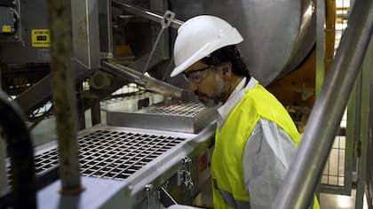 El periodista Gonzalito Rodríguez fue a la fábrica de Whiskas para ver de cerca cómo se produce el alimento para gatos.