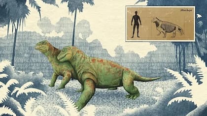 El Pérmico estuvo lleno de criaturas extrañas como el arrugado herbívoro Moschops, parecido visualmente a las ranas, pero del tamaño de un buey almizclero