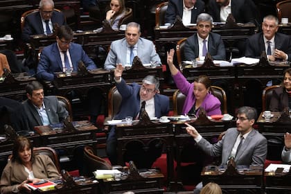 El peronismo durante la sesión en Diputados en la que se estableció un cronograma de trabajo para avanzar con la emergencia en discapacidad y los proyectos sobre morosidad